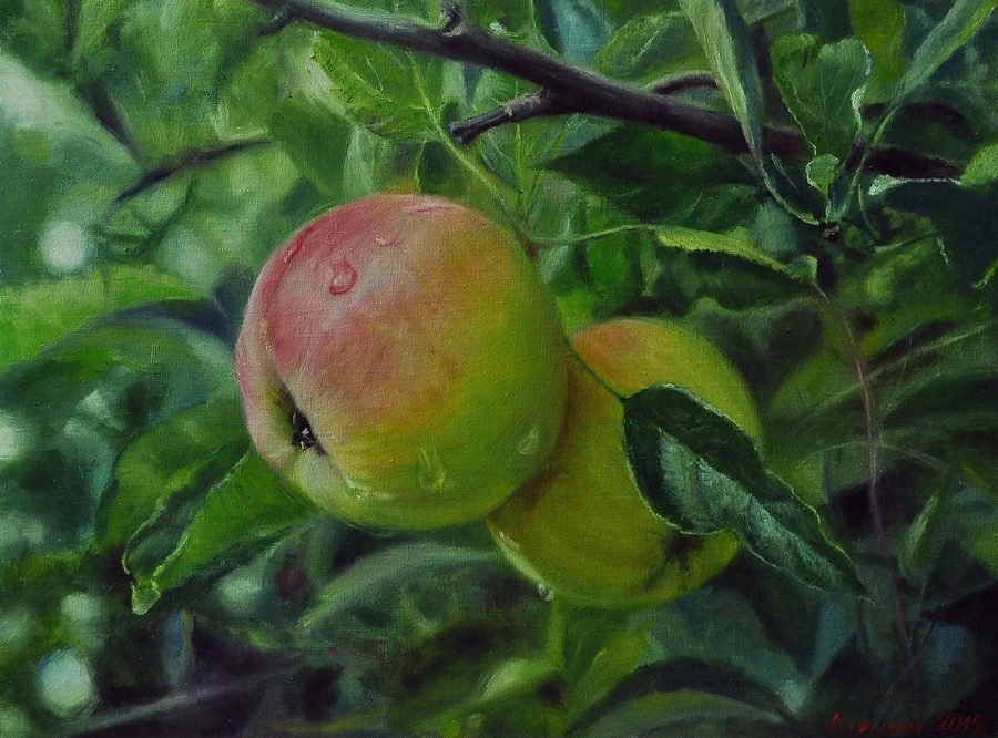 Яблочки молодильные 
