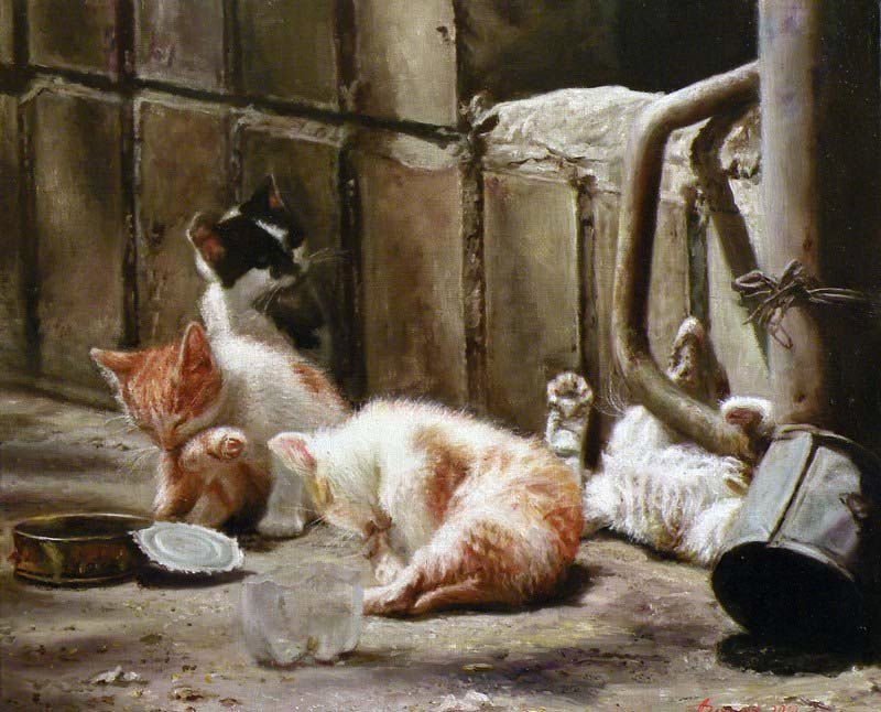 Котята. Беззаботное детство.