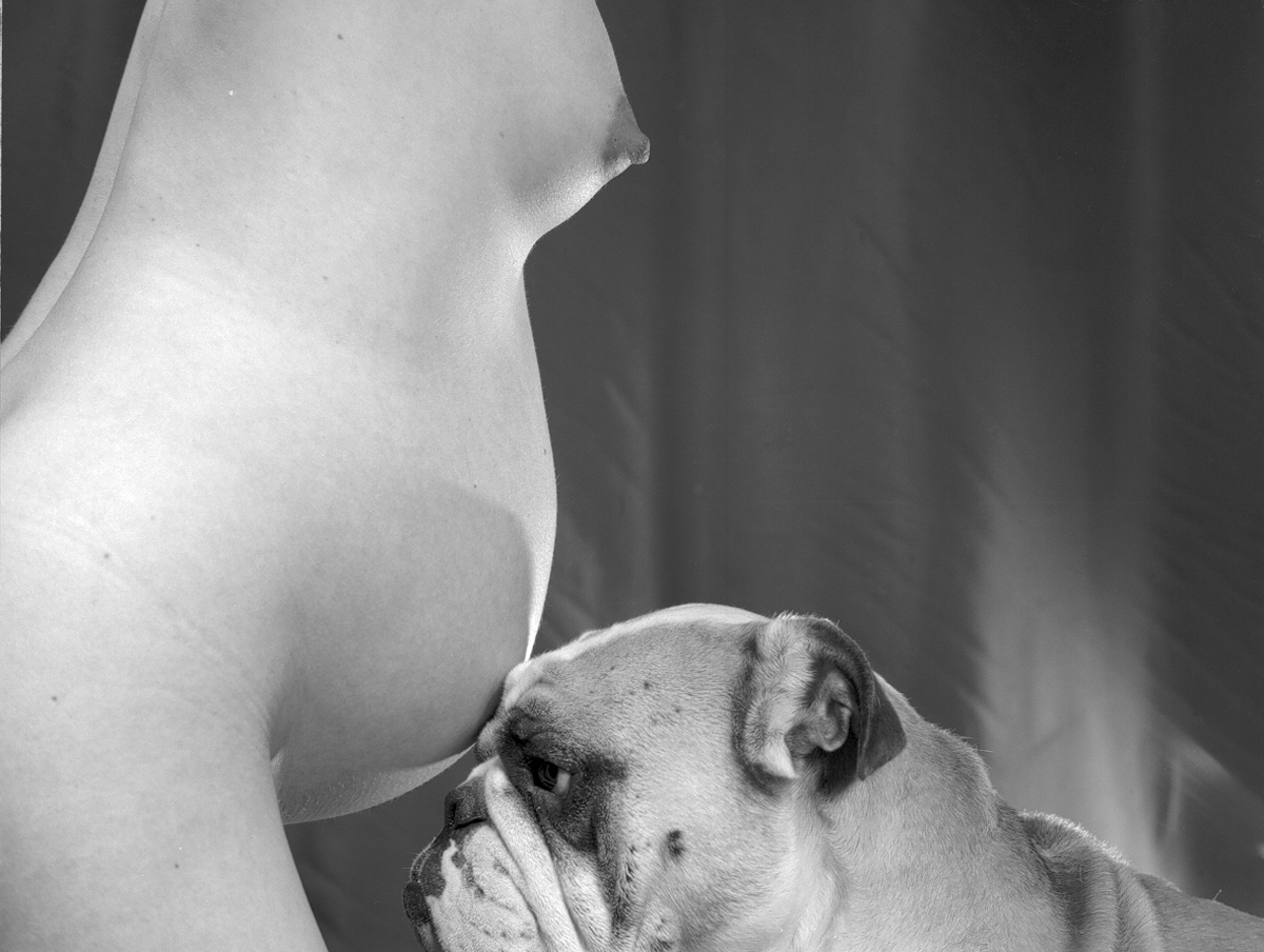 Voyeur
