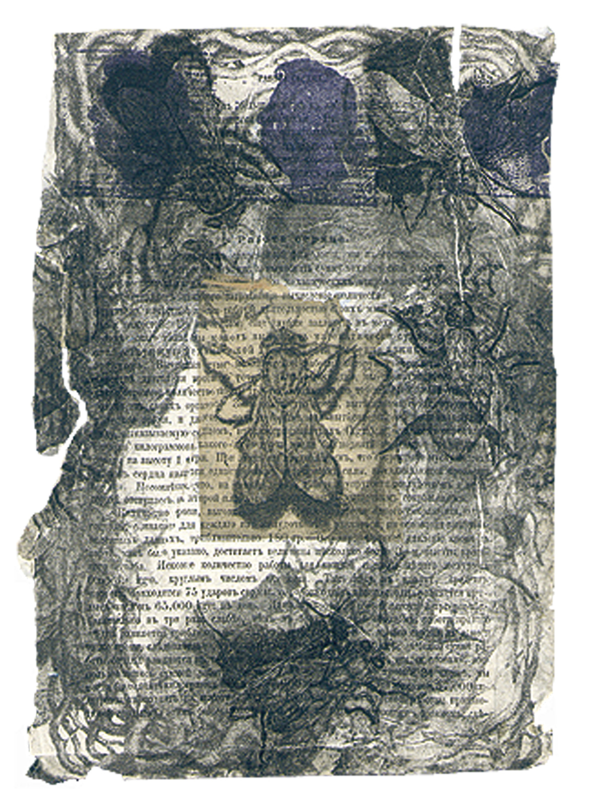 N/a