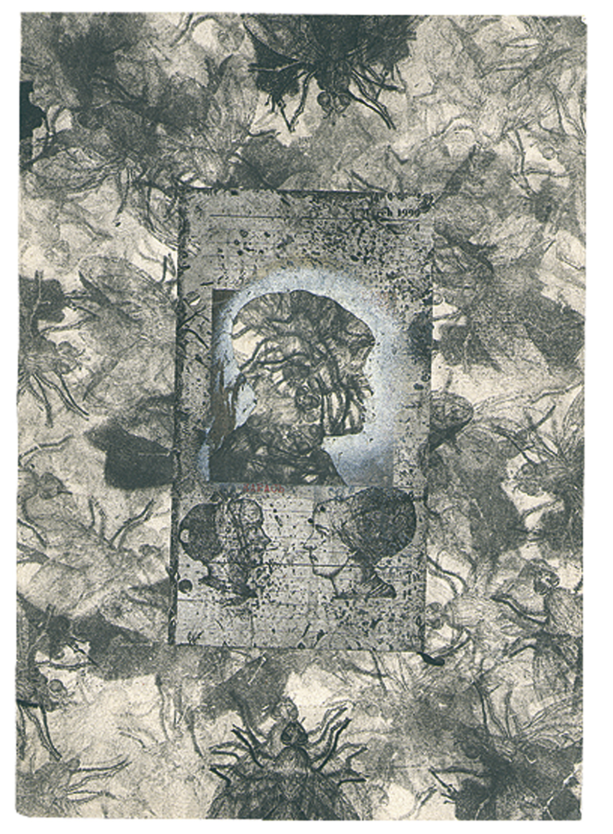 N/a