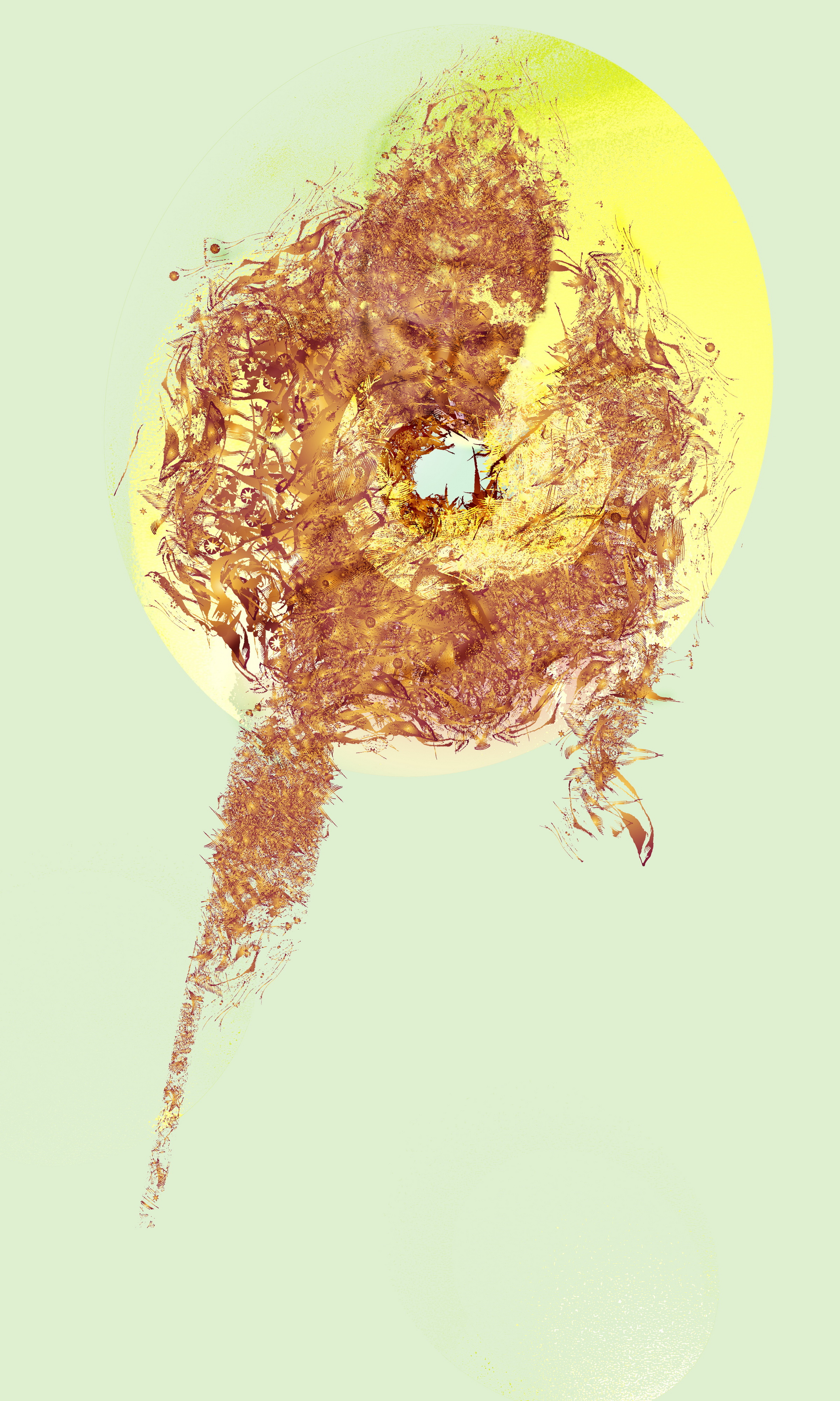 N/a